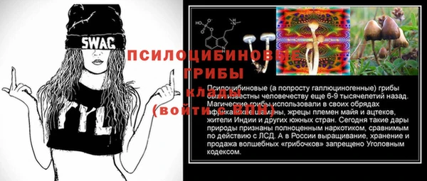 PSILOCYBIN Верхнеуральск